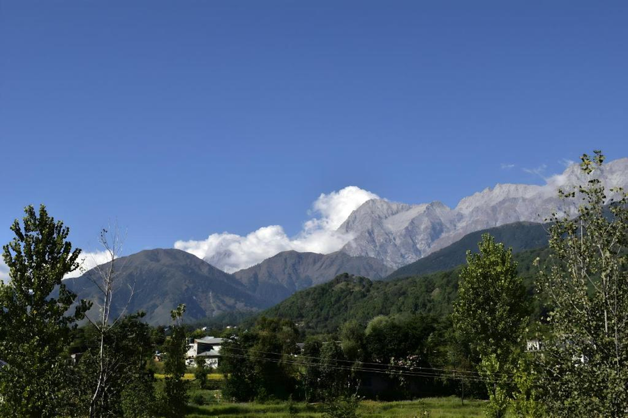 aotel by clarks inn palampur