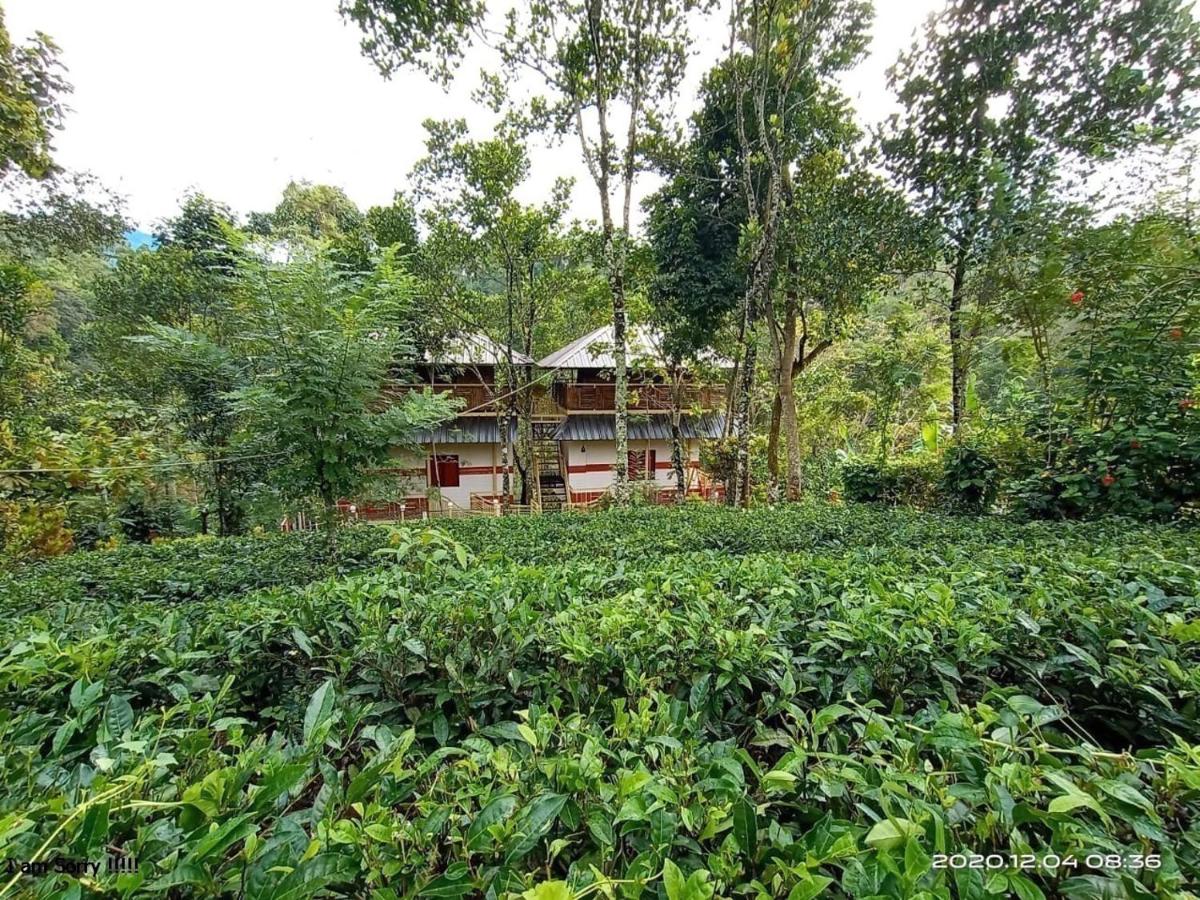 Chalona Jungle Eco Stay