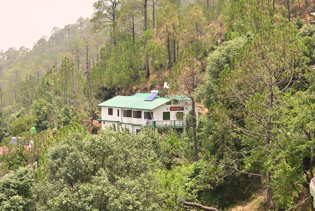 wood castle luxury home stay