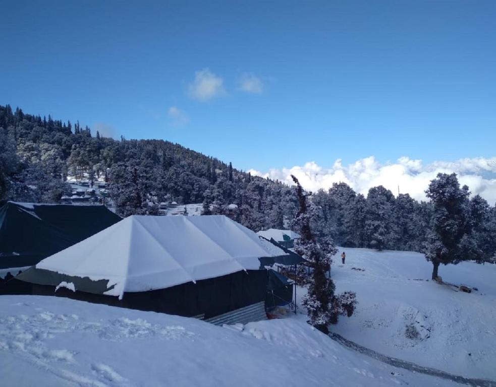chandrashila summit trek 