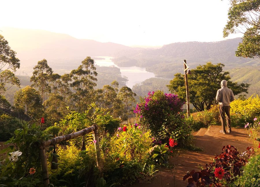 campper campwoody munnar