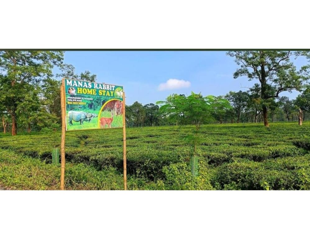 Manas Rabbit Home Stay, Raghabbil, Assam,Bijni>>Barpeta,2 star