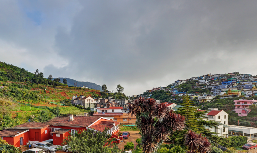 itsy hotels rain forest