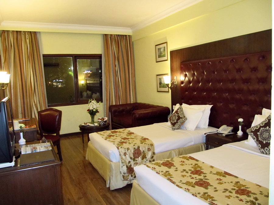 Hotel Ritz Plaza,Ina Colony,4 star