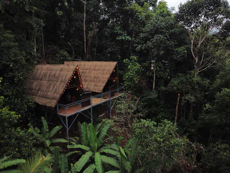 Tulsi Village Retreat,Adimali,3 star