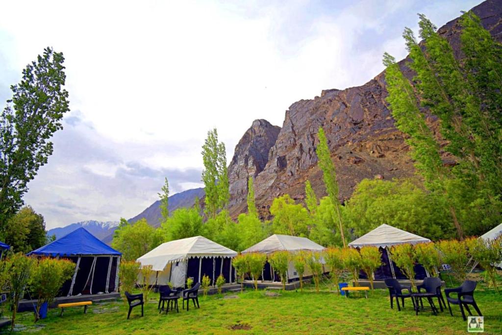 desert oasis camp