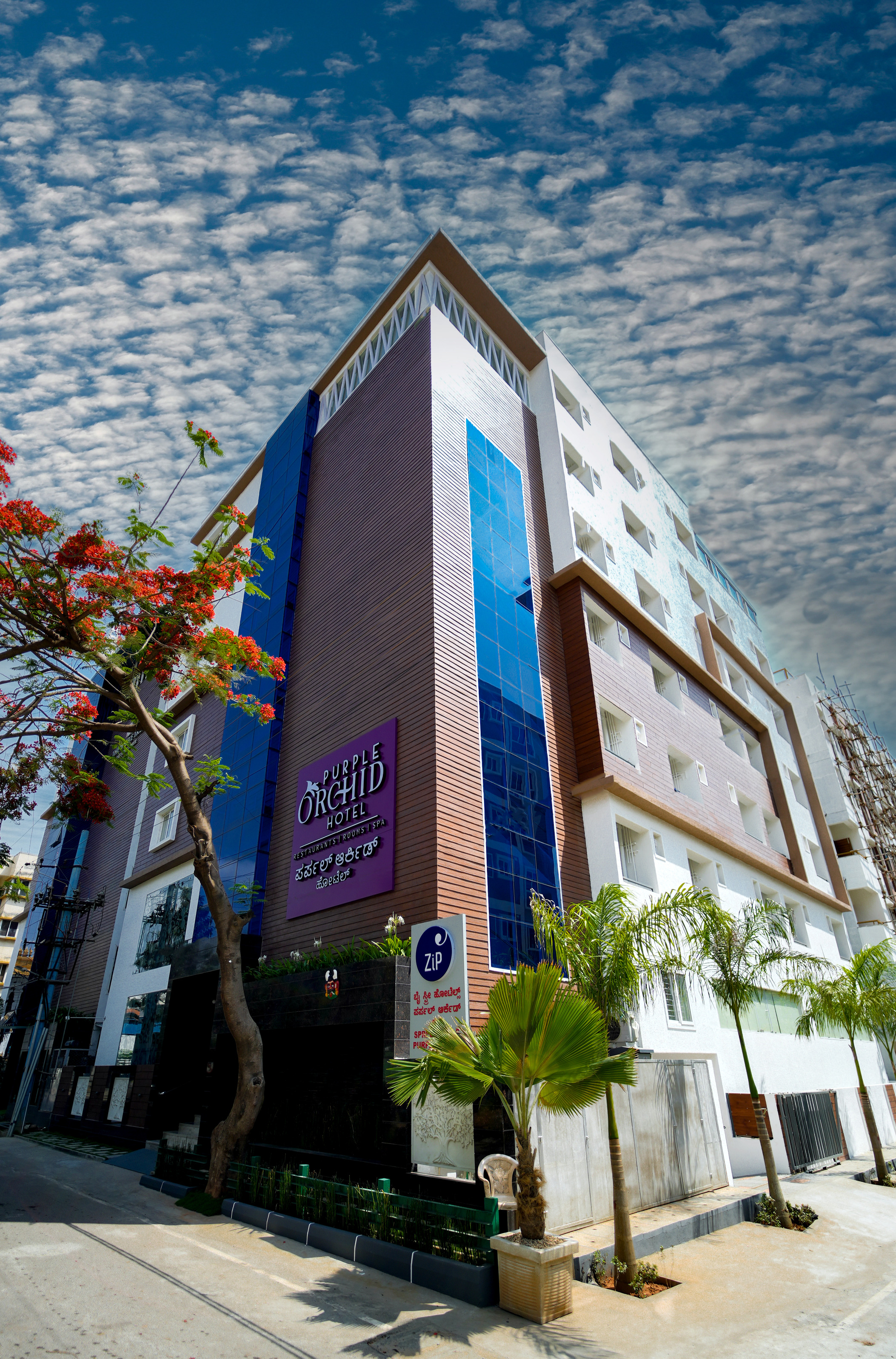 Zip By Spree Hotels Purple Orchid Whitefield