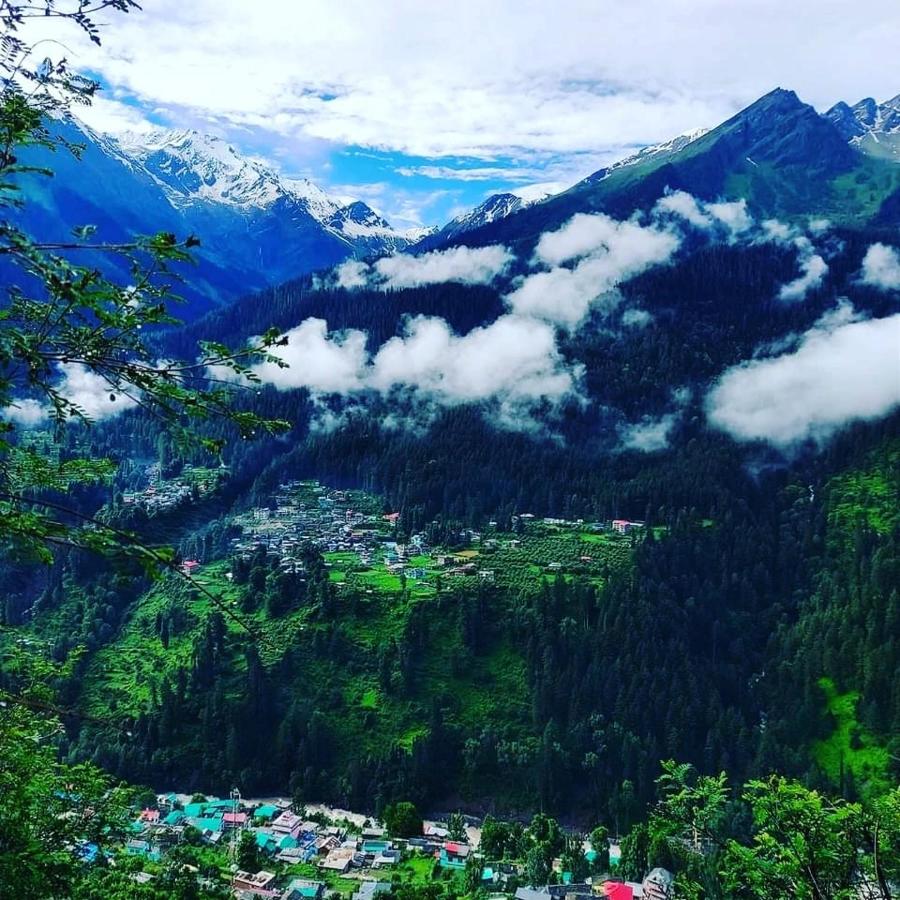 The Ice Blue,,3 star