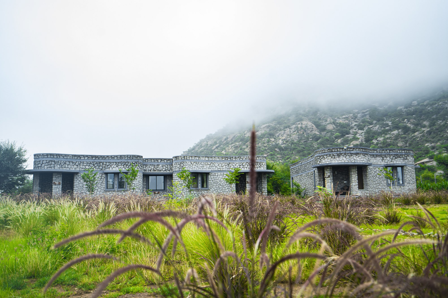 maya luxury j wild resort jawai