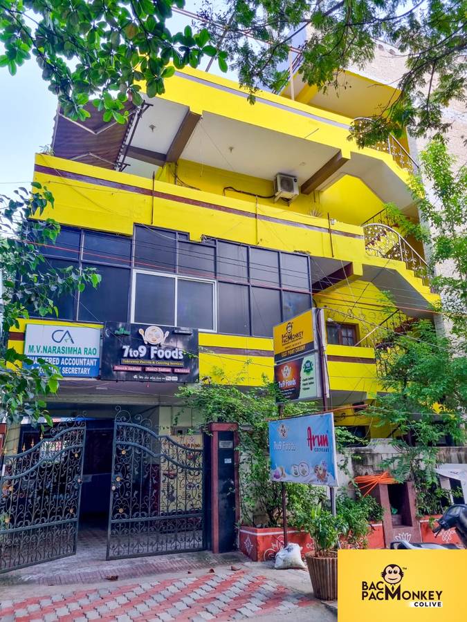 Bacpac Monkey Colive,Waltair Main Road,3 star