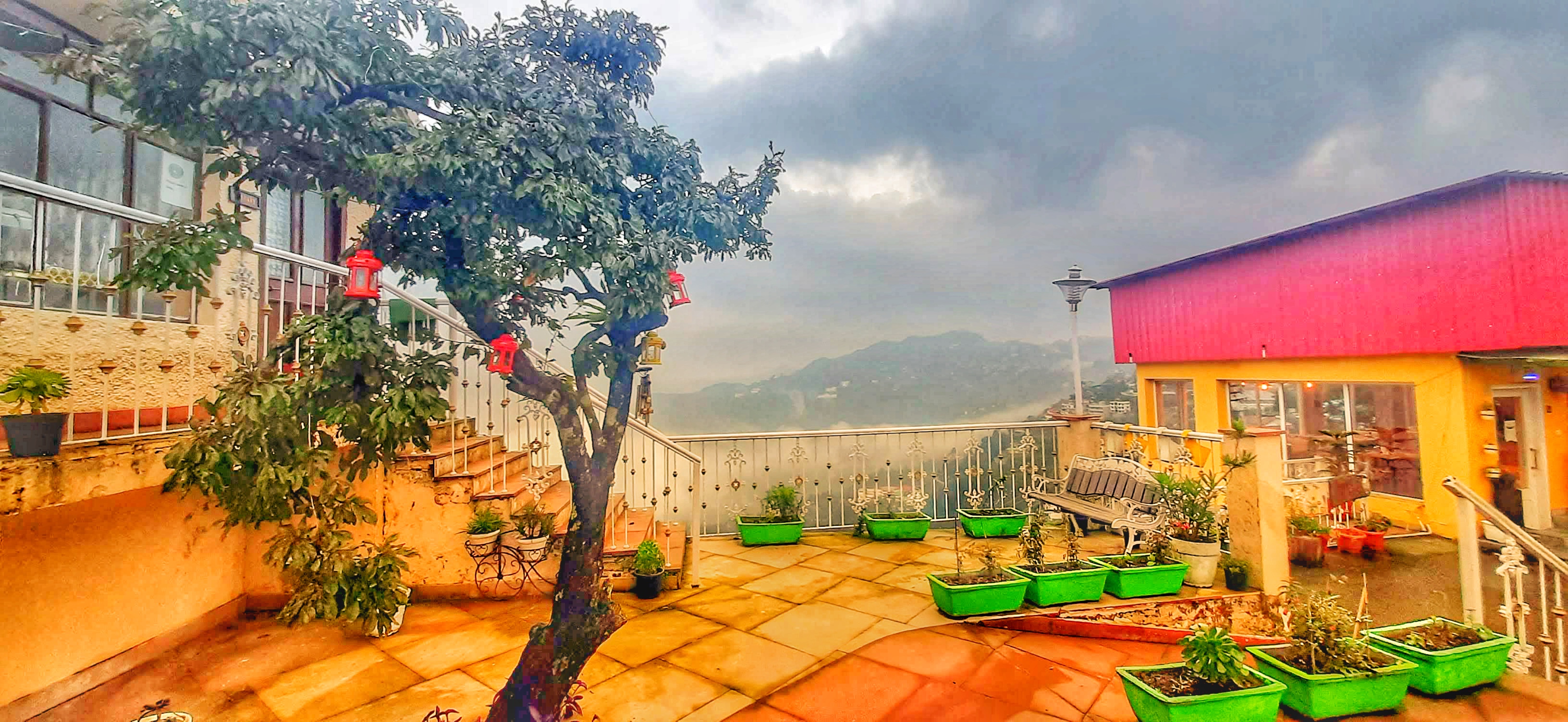 tree of life highlands mussoorie