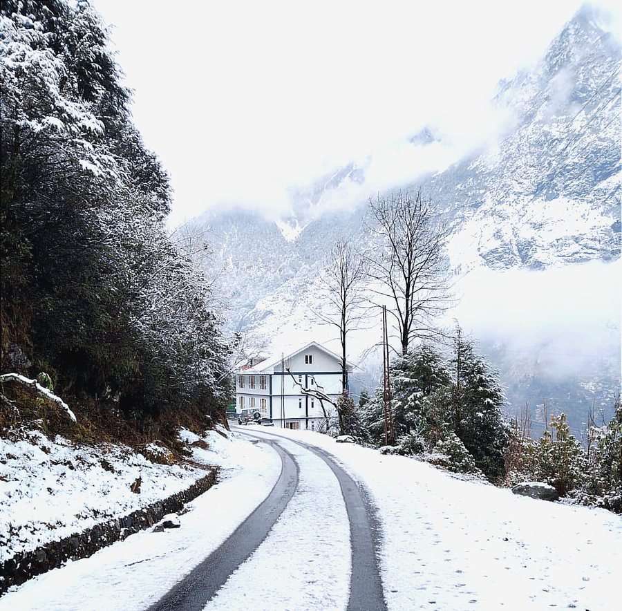 floret resort lachung
