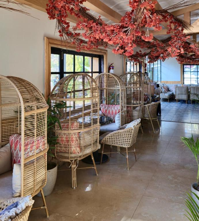 romeo lane mussoorie by alivaa