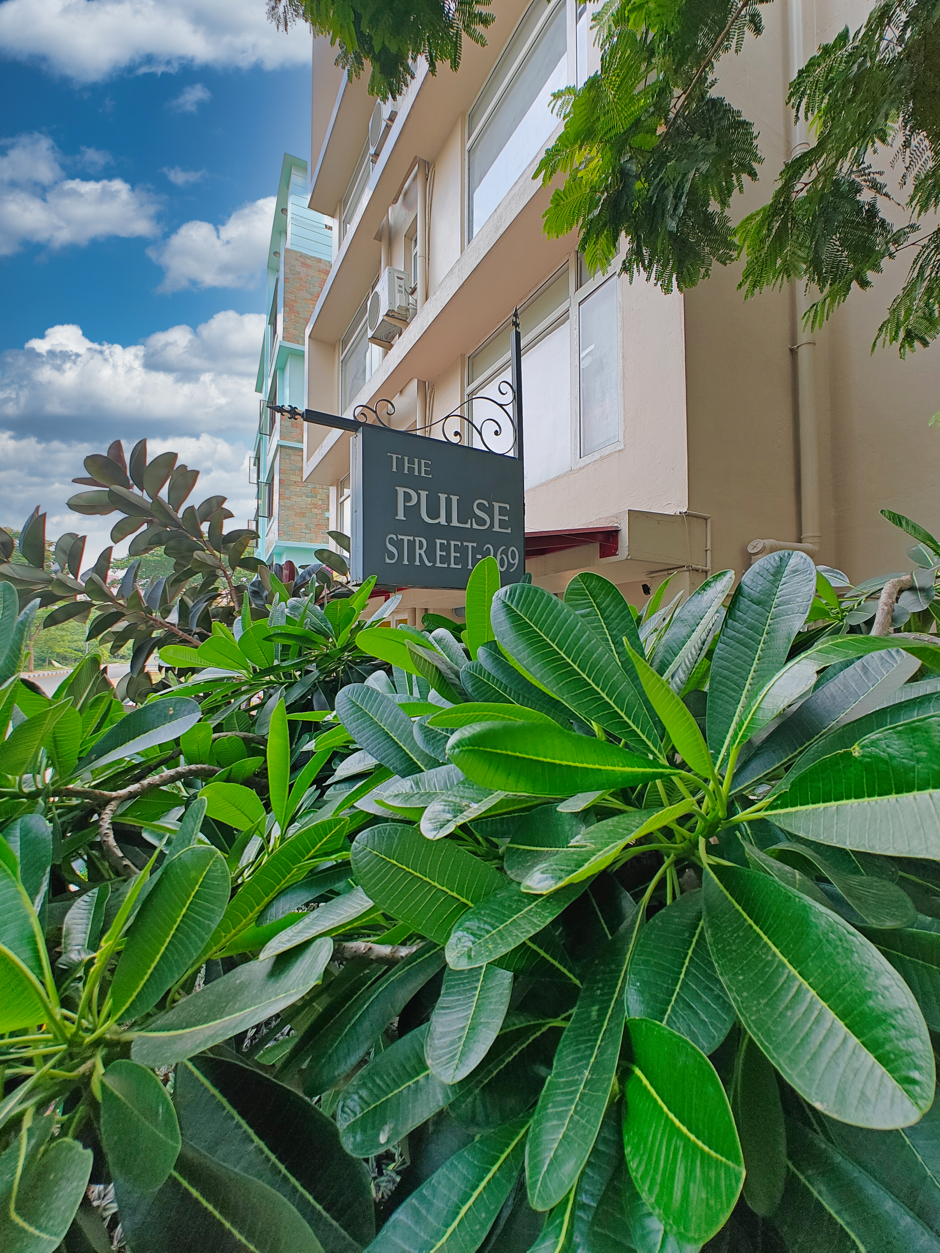 The Pulse,New Town,3 star