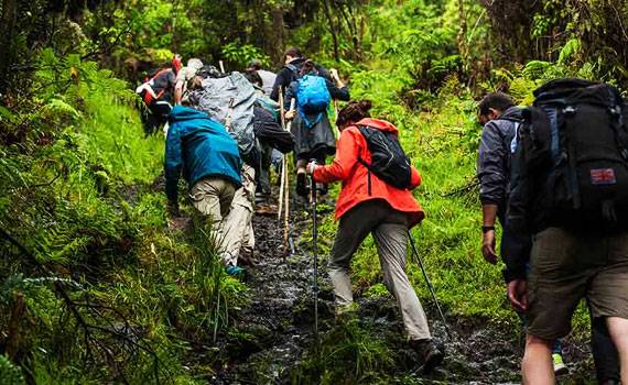 welcomhotel by itc hotels jim corbett