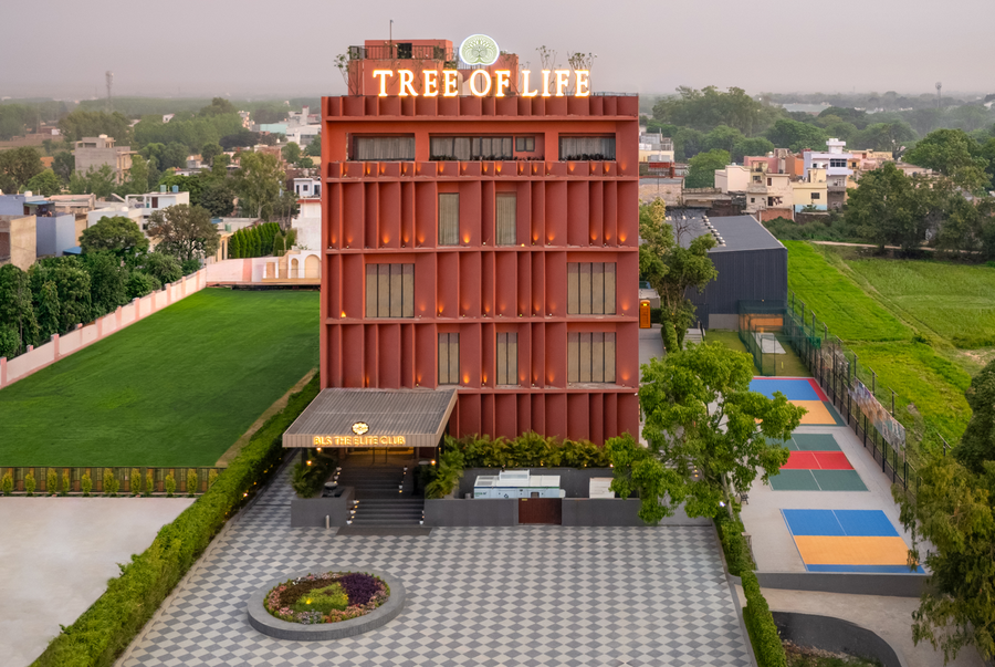 tree of life ganga dwar haridwar