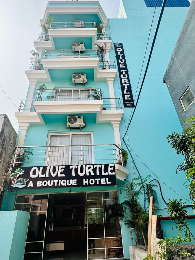 Olive Turtle,Baliapanda,3 star