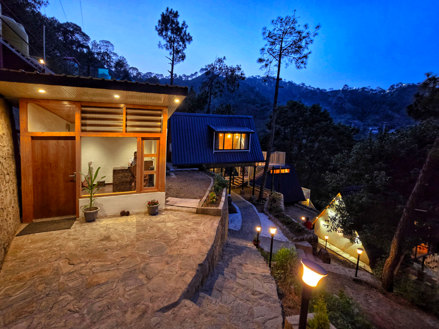 musical paradise kasauli