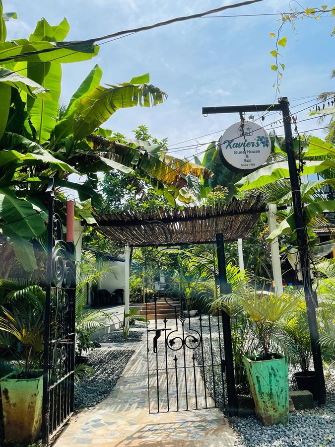 xavier s guest house