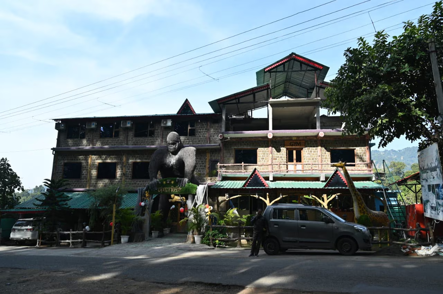 jungle resort
