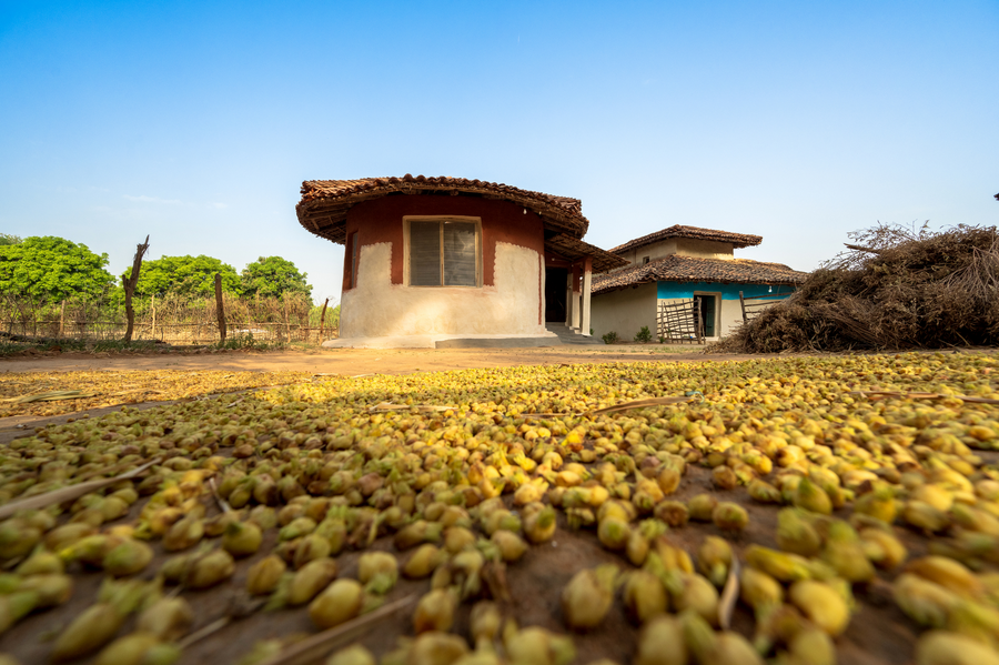 Dayabai's Sal Tree Homestay,,2 star