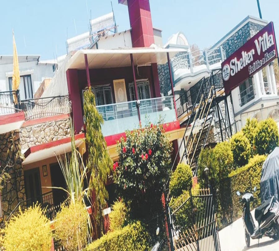 shelter the homestay