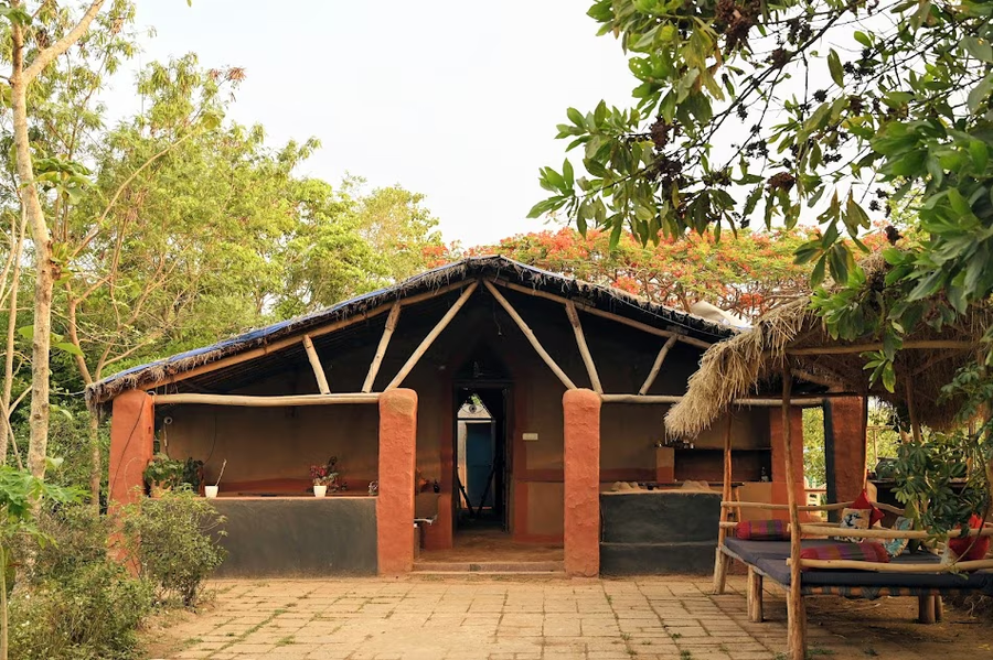 bastar birds nest