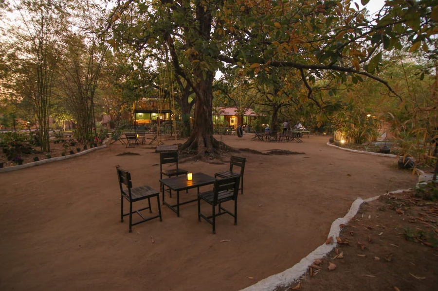 pench wilderness camp resort