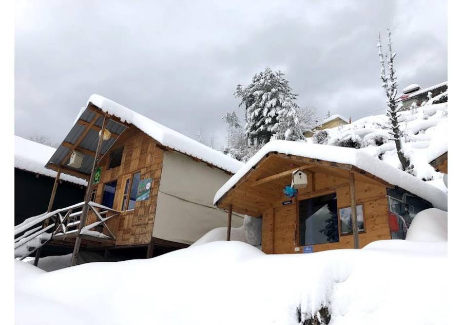 blue poppy resort auli