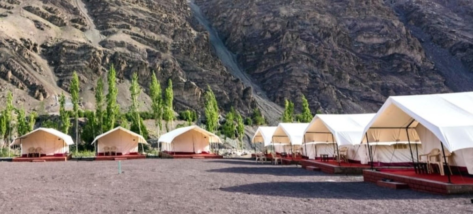 Apple Orchard Ule,India>>Leh,2 star