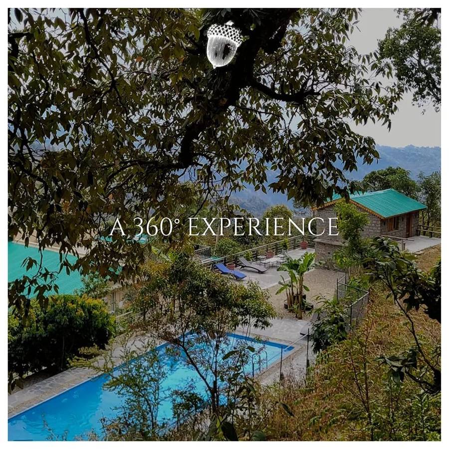 the cozy acorn resort